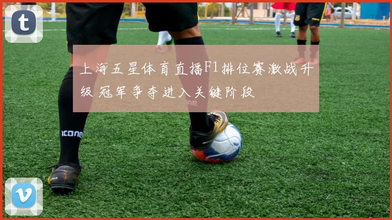 上海五星体育直播F1排位赛激战升级 冠军争夺进入关键阶段