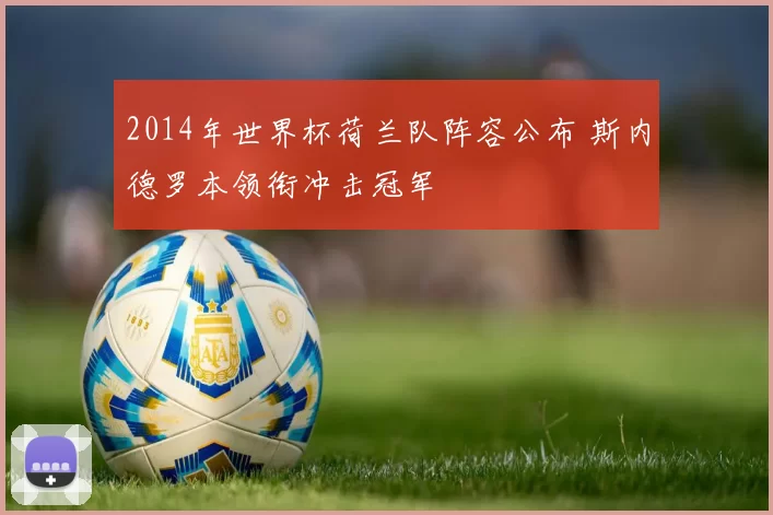 2014年世界杯荷兰队阵容公布 斯内德罗本领衔冲击冠军