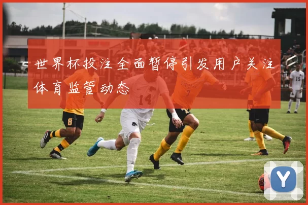世界杯投注全面暂停引发用户关注体育监管动态
