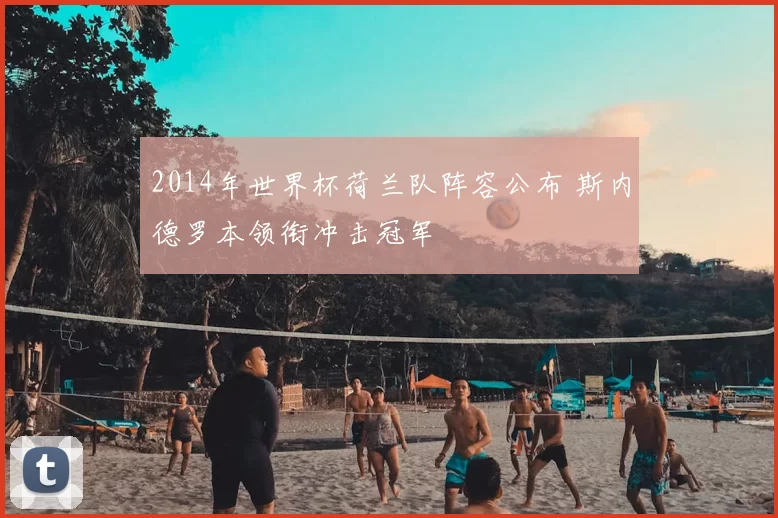 2014年世界杯荷兰队阵容公布 斯内德罗本领衔冲击冠军