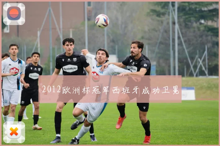 2012欧洲杯冠军西班牙成功卫冕