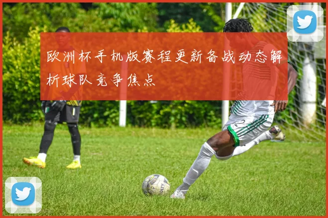 欧洲杯手机版赛程更新备战动态解析球队竞争焦点