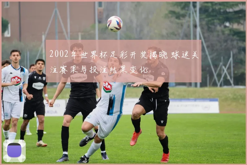 2002年世界杯足彩开奖揭晓 球迷关注赛果与投注结果变化