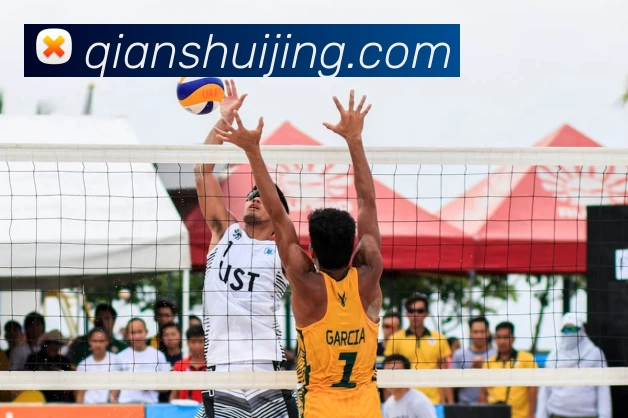 fb体育官网发展历程